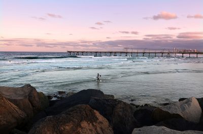 Explore the Gold Coast's Southport Spit - Focus Apartments